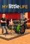 Poster for My Little Life