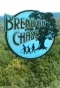 Poster for Brendon Chase