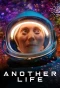 Poster for Another Life