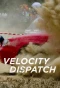 Poster for Velocity Dispatch