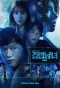 Poster for Investigation Couple