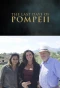 Poster for Pompeii's Final Hours: New Evidence