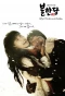 Poster for Robber