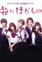 Poster for Hana ni Kedamono