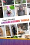 Poster for Howie Mandel's Animals Doing Things