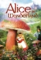 Poster for Alice in Wonderland