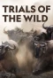 Poster for Trials of the Wild