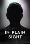 Poster for In Plain Sight