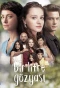Poster for Bir Litre Gözyaşı