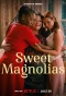 Poster for Sweet Magnolias