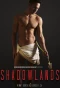 Poster for Shadowlands