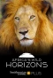 Poster for Africa's Wild Horizons