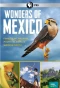 Poster for Wonders of Mexico