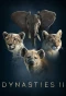 Poster for Dynasties