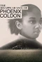 Poster for The Disappearance of Phoenix Coldon