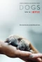 Poster for Dogs