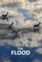 Poster for The Flood