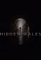Poster for Hidden Wales with Will Millard
