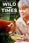 Poster for Wild Times
