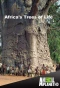 Poster for Africa's Trees of Life