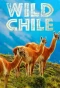 Poster for Wild Chile