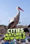 Poster for Cities: Nature's New Wild