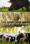 Poster for Secret Life of Farm Animals