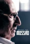 Poster for Inside the Mossad
