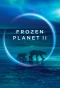 Poster for Frozen Planet II