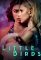Poster for Little Birds