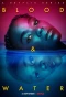 Poster for Blood & Water