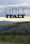 Poster for Finding Little Italy