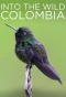 Poster for Into the Wild Colombia