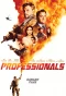 Poster for Professionals