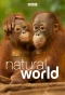 Poster for Natural World