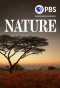 Poster for Nature