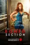 Poster for The Romeo Section