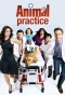 Poster for Animal Practice