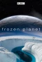 Poster for Frozen Planet