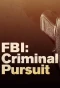 Poster for FBI: Criminal Pursuit