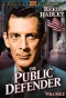 Poster for The Public Defender