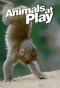 Poster for Animals at Play