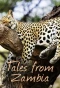 Poster for Tales from Zambia