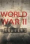 Poster for World War II in Numbers