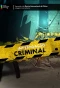 Poster for Investigação Criminal