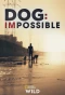 Poster for Dog: Impossible