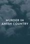 Poster for Murder in Amish Country