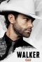 Poster for Walker