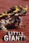 Poster for Little Giants