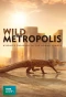 Poster for Wild Metropolis